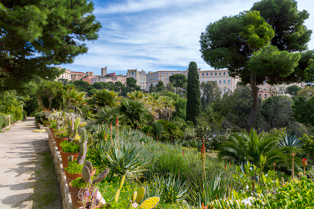 Botanical Garden
