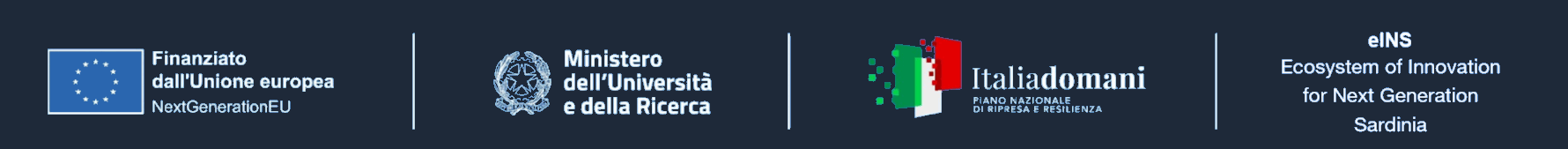 e.INS Project Logo
